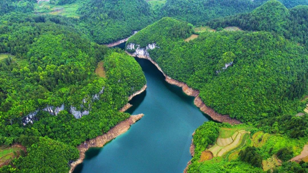 谭华摄(中经视觉)