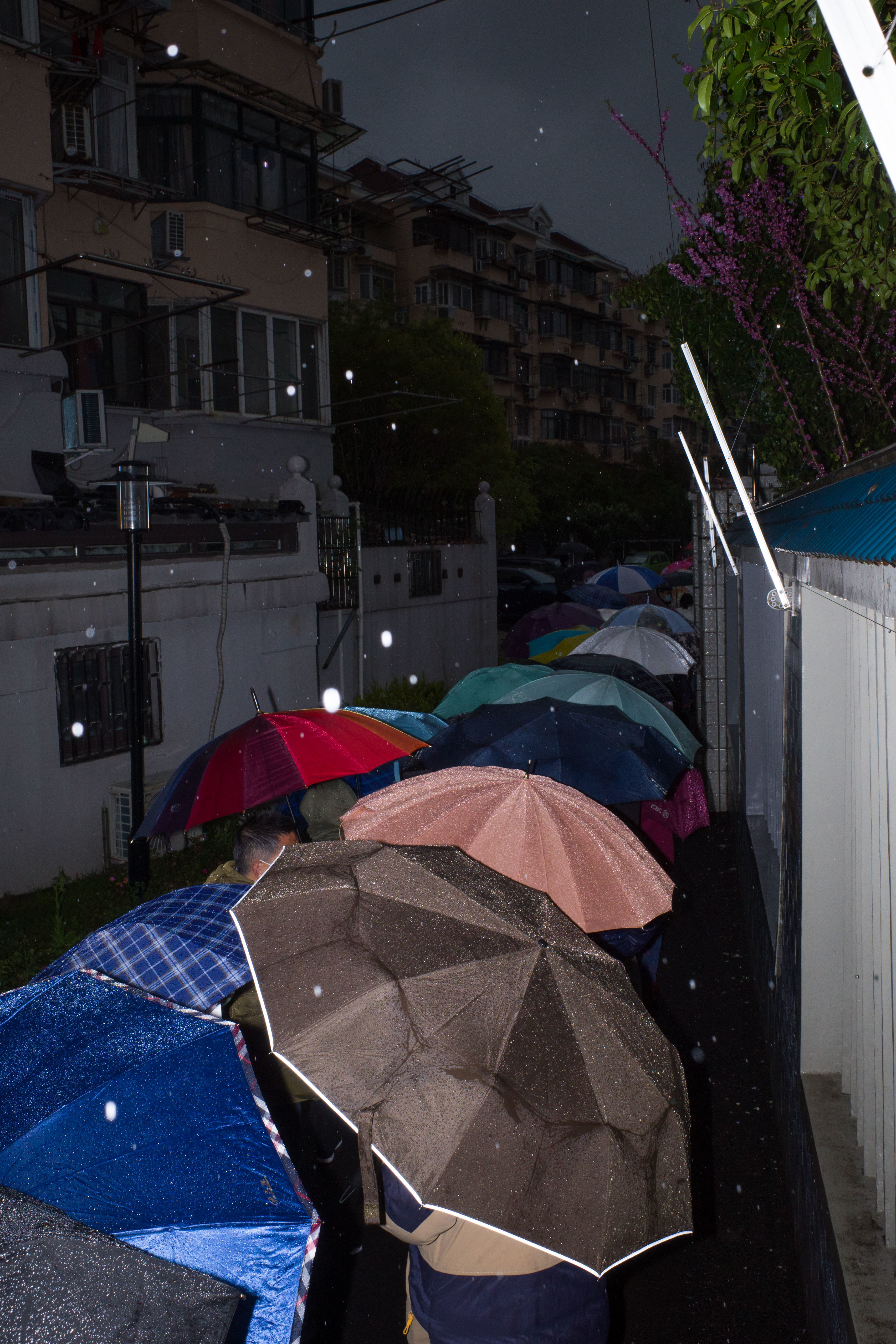 2022年3月21日,雨中等待核酸检测的队伍.