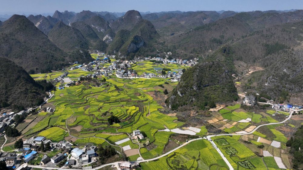 3月8日拍摄的贵州省黔南布依族苗族自治州罗甸县边阳镇油海村的油菜花