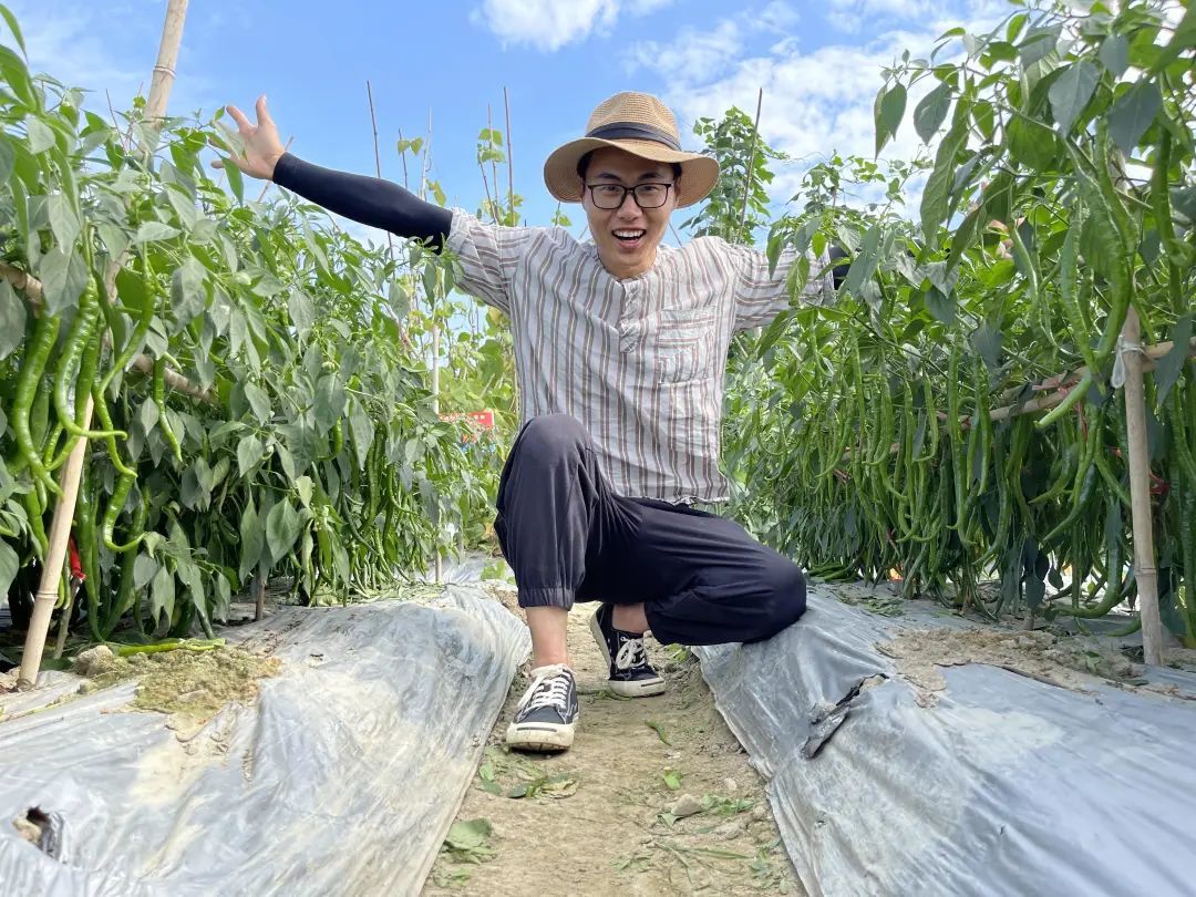 我在阳台疯狂种菜,有2000种神器,成行业TOP3