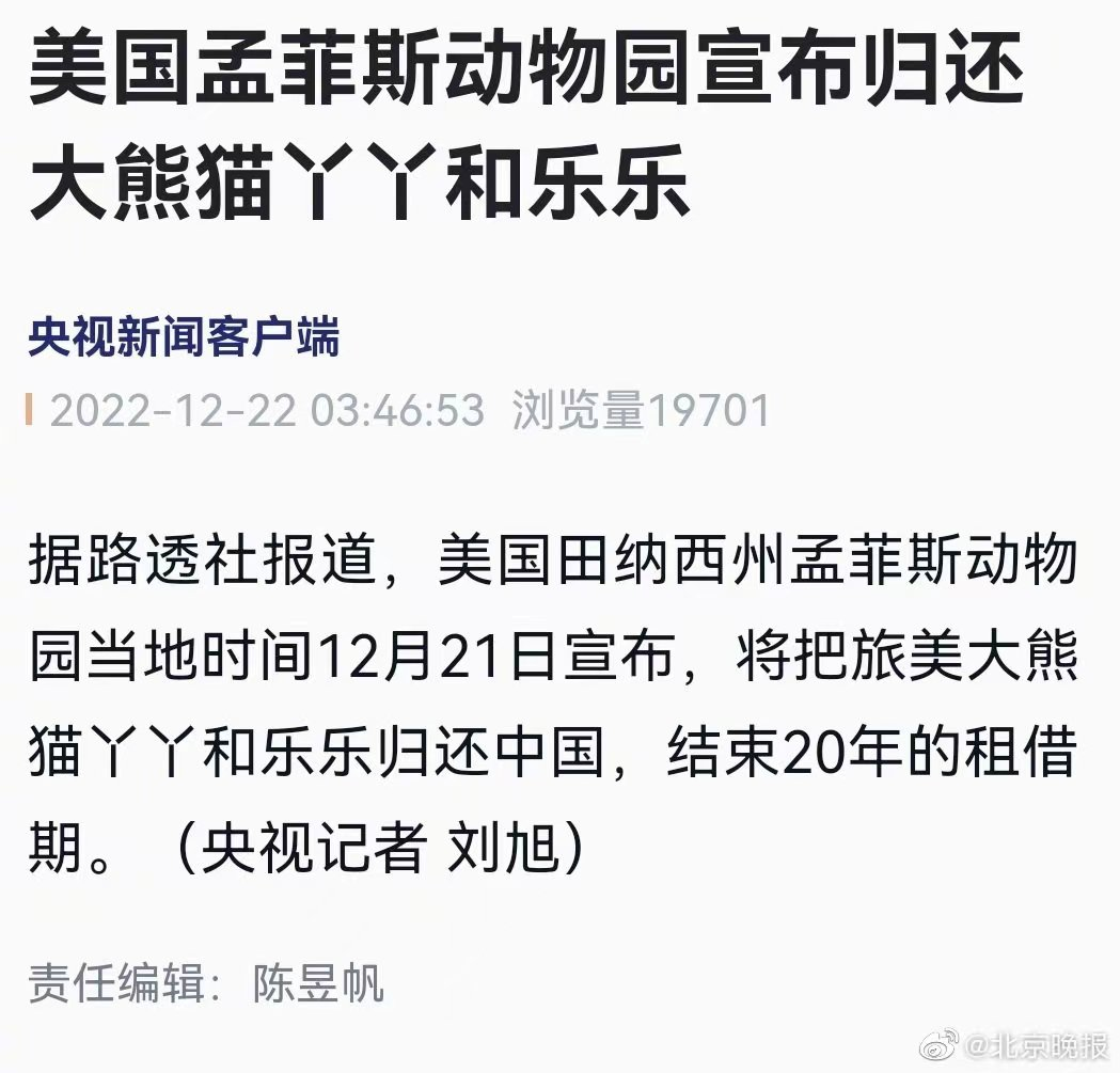 在美国“受虐”20年，国宝级的他们终于要回来了