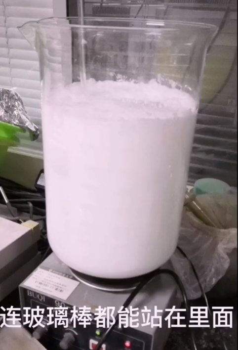 @我和我的一群猫猫