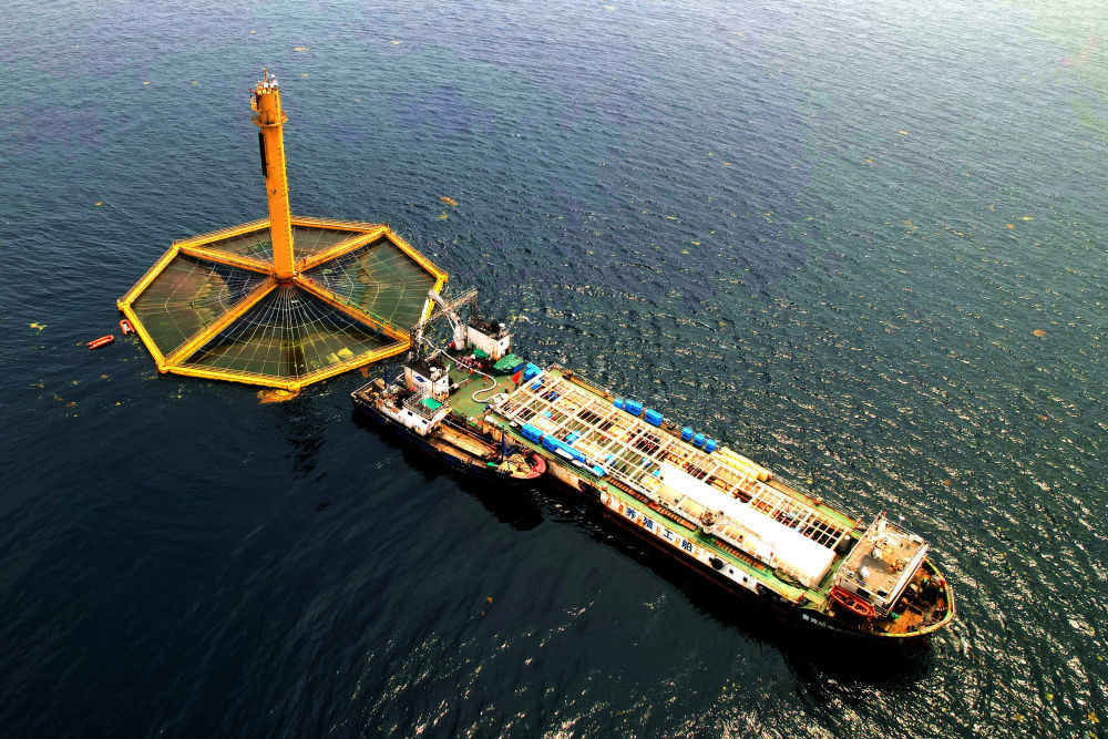 在黄海海域的“深蓝1号”网箱，养殖工船在收获三文鱼（无人机航拍）。彭照军摄