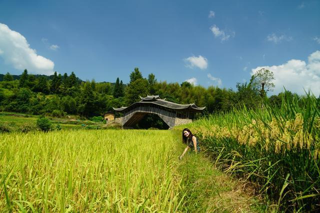 中国廊桥之乡泰顺，2022年温州春天最值得自驾的旅游目的地