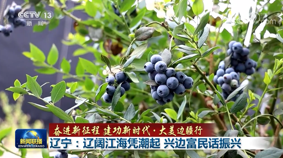 【奋进新征程 建功新时代·大美边疆行】辽宁:辽阔江海凭潮起 兴边富民话振兴_凤凰网资讯_凤凰网