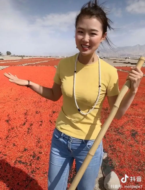 山货上头条支持新农人发展90后女孩回乡做农民年销200吨枸杞