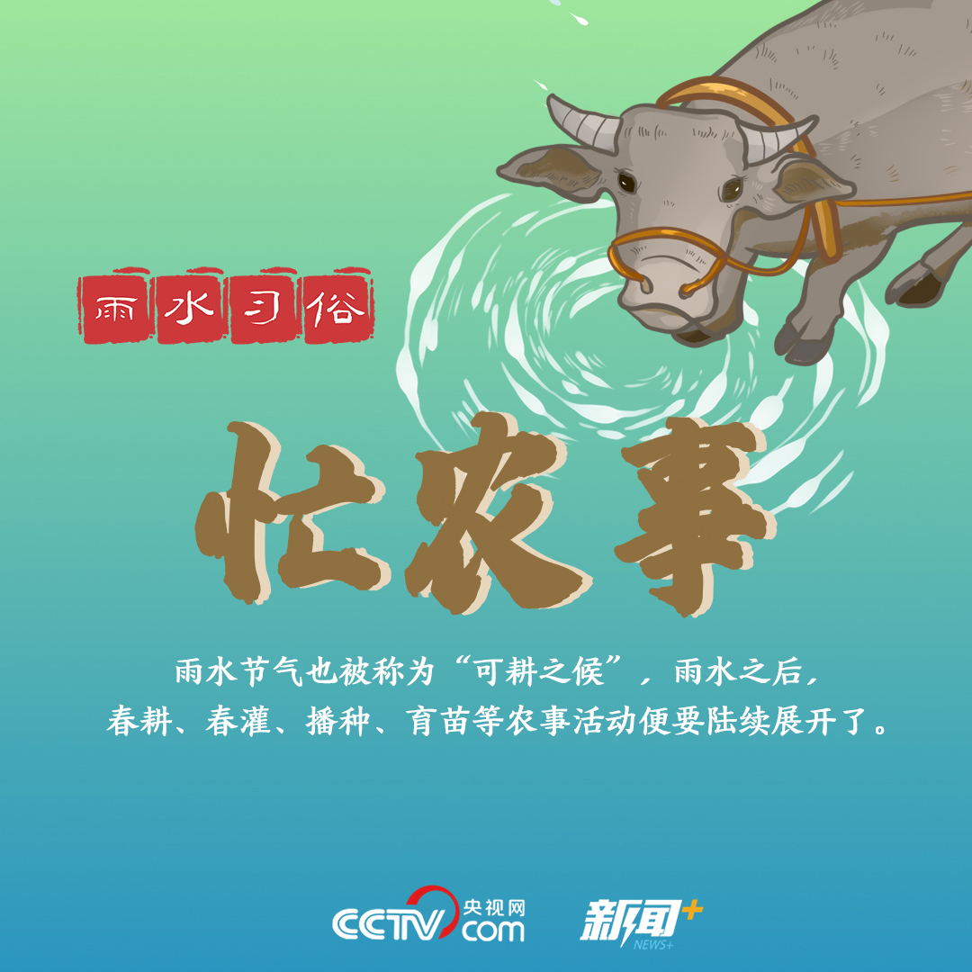 A0AA0FB74A2D154CE2F7C1D29F9BA480B9A197F6_size447_w1080_h1080.jpg