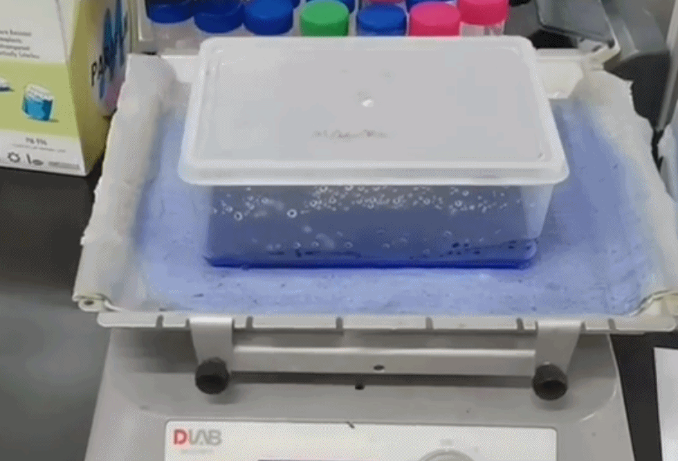 上辈子造孽 这辈子读研做实验