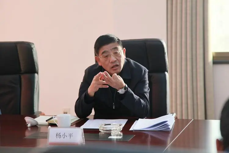 虎年首个工作日,杨小平被查_凤凰网资讯_凤凰网