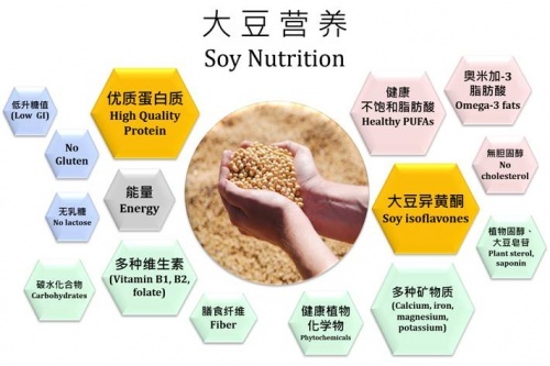 关于大豆你都了解多少维他奶这波解答含金量满满