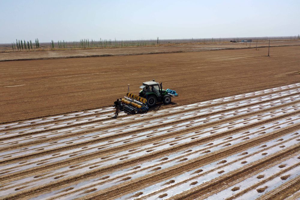 新疆阿图什市格达良乡的棉田里,装有北斗卫星导航系统的播种机在作业