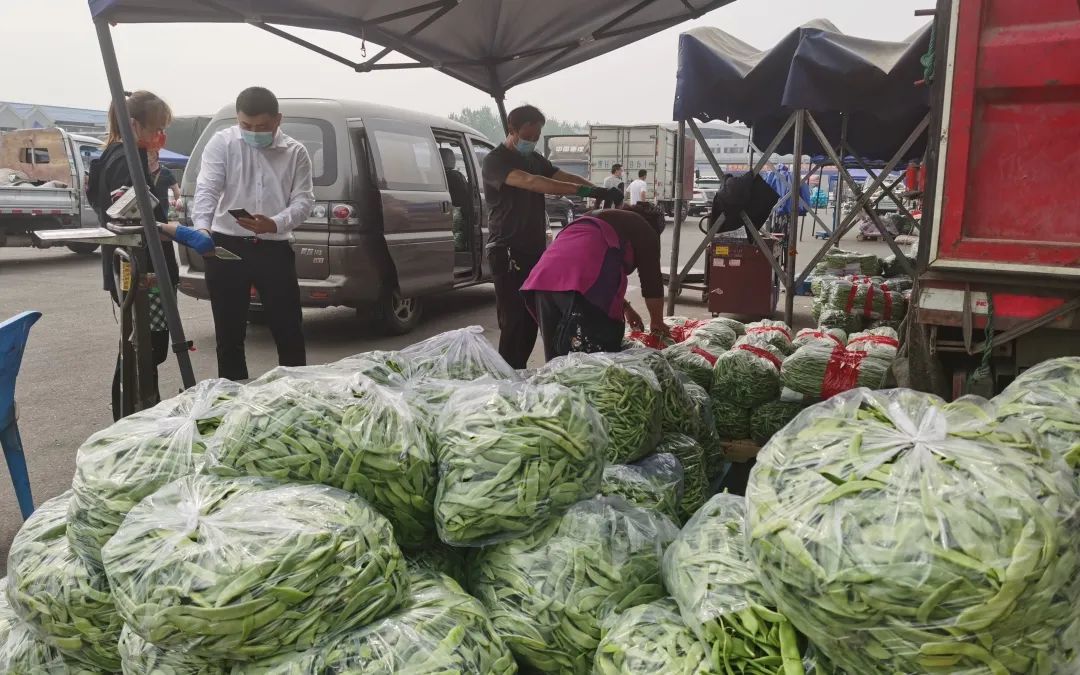 ▲新发地市场蔬菜日供应量为1.9万吨以上,能够满足市民需要。丰台区委宣传部供图