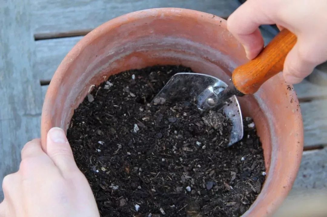 自己给植物配置盆栽土，这里有一份通用的教程