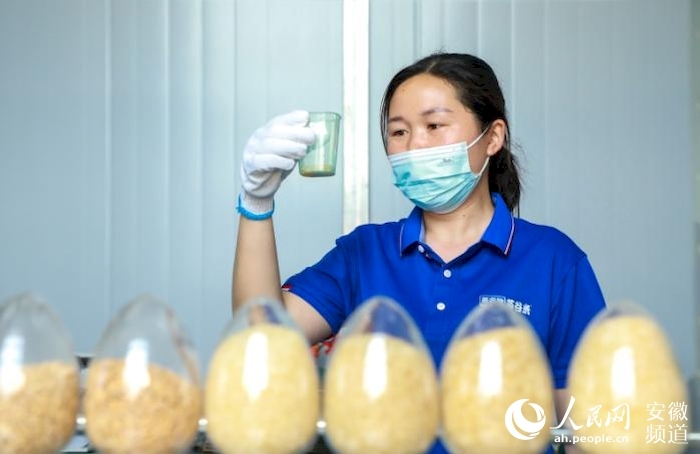 品控岗位上的李敏正在检查稻米的质量。人民网 陶涛摄