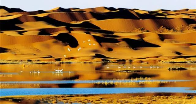 图为库布齐沙漠湿地