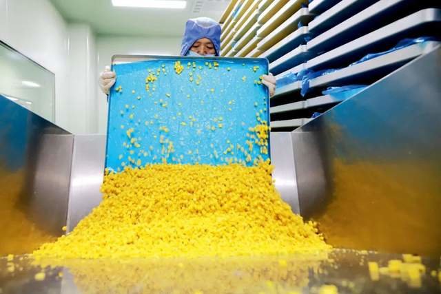 2020年10月10日,山东省青岛西海岸新区一家企业内,工人在宠物食品加工车间忙碌。图/中新