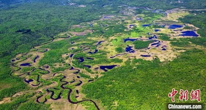 图为黑龙江大沾河湿地，是中国最大的森林湿地