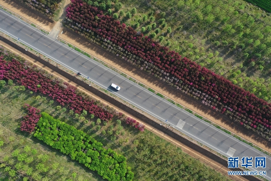 4月6日,车辆行驶在河南省平顶山市宝丰县肖旗乡旅游公路上(无人机照片