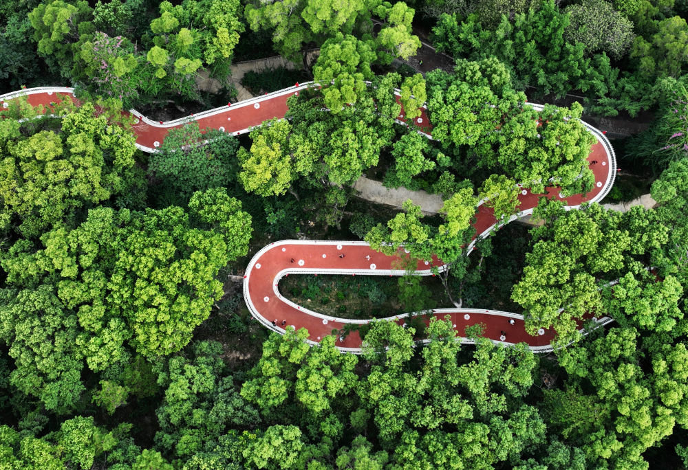 这是10月1日拍摄的福州金鸡山公园茉莉花生态廊道（无人机照片）。新华社记者 魏培全 摄