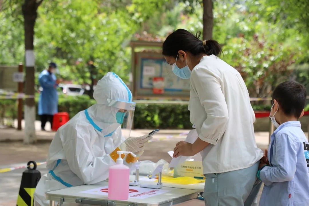 張芷瑛在核驗,錄入居民身份證信息