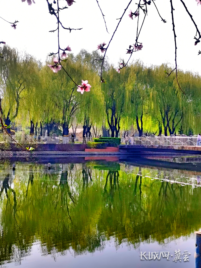 高清组图丨石家庄绽放在春天里