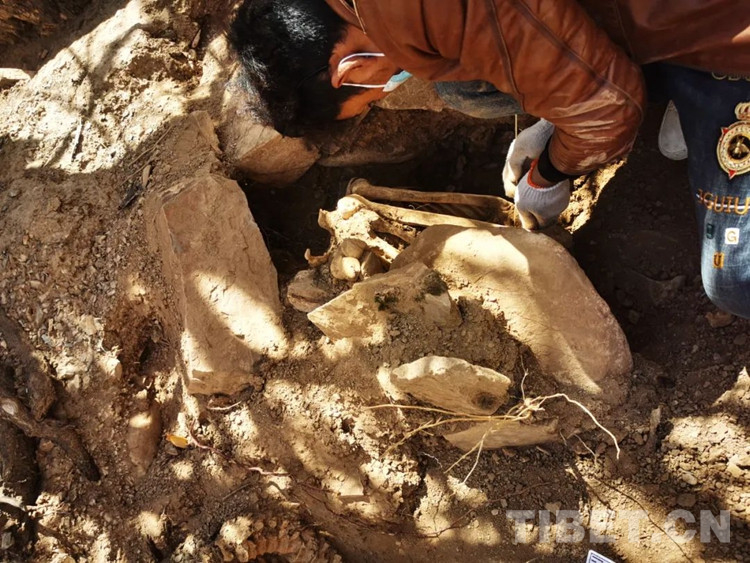 考古新发现：西藏昌都新发现7座暴露墓葬(图3)
