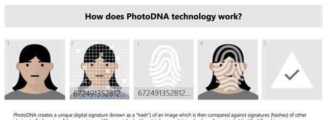 相册照片被谷歌AI举报:全网封杀 警方介入 但也喊冤无门 第8张-心情说说 PhotoDNA工作原理