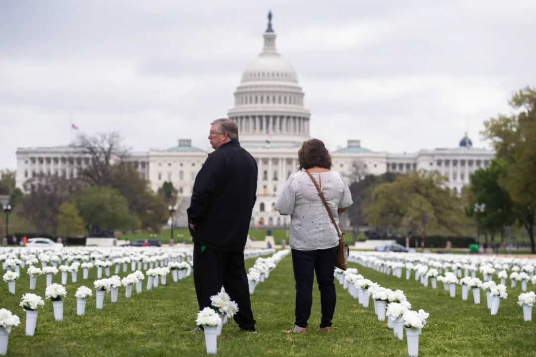 当地时间2021年4月13日，美国华盛顿国家广场上展出4万朵丝绸花，纪念死于枪支暴力的受害者。图/IC photo