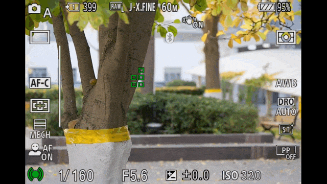 有料评测】索尼Alpha 7R V评测:6100万像素8K视频双性能旗舰