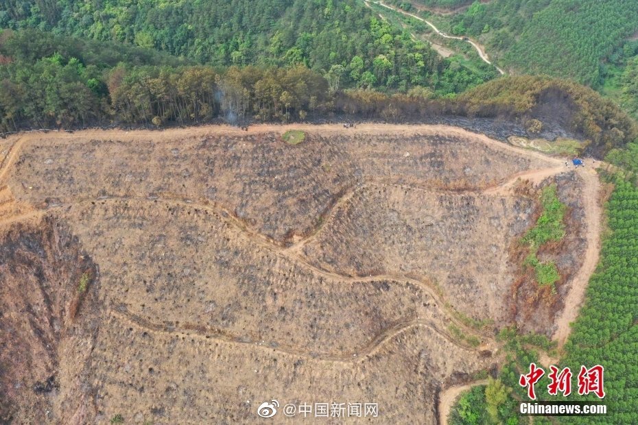 航拍东航MU5735坠毁现场