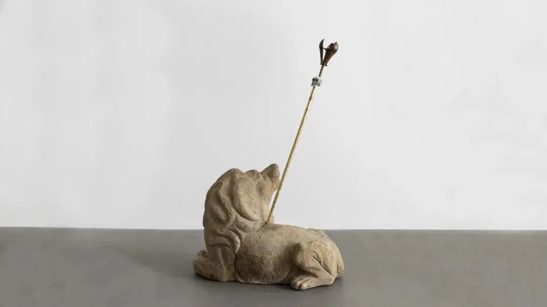 蜗牛人真实现象 B128486A8B0AB10347C3D13921477CDEBF40C27C_size26_w1080_h608.jpeg