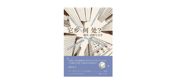 《它乡何处》，作者:黄宗洁，版本:三辉图书｜南京大学出版社 2022年4月