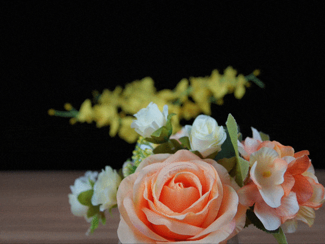 【有料评测】超广角定焦 索尼E 11mm F1.8镜头评测