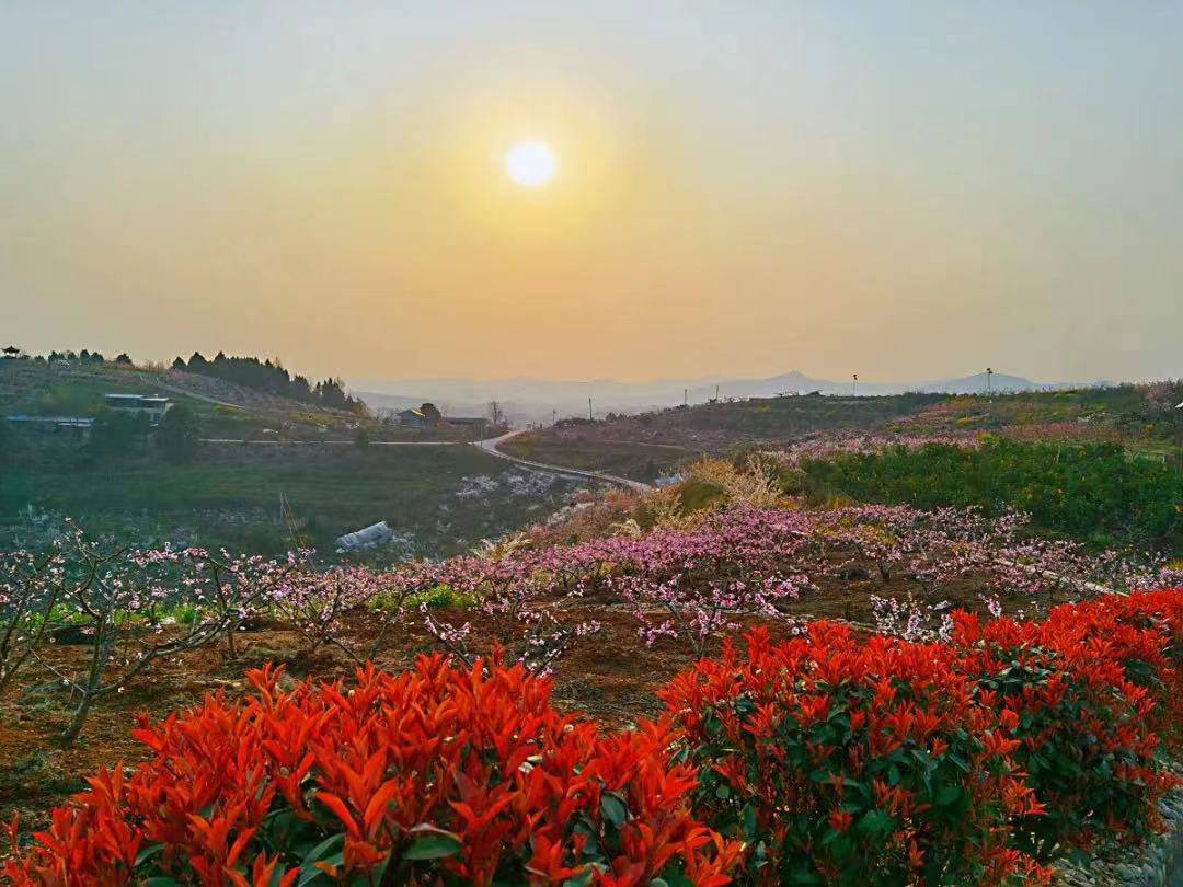 十大最美赏花景点公布第二届东麓桃花美食季活动攻略来了