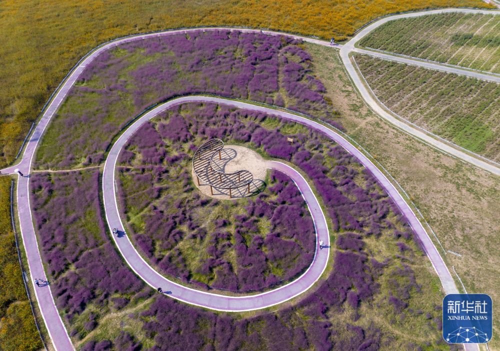 10月3日,游客在江苏省淮安市百花园游玩(无人机照片).