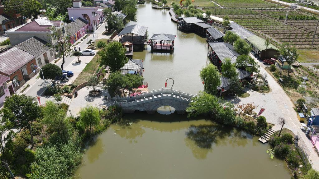 这是庐江县同大镇马河村村貌(6月21日无人机照片).