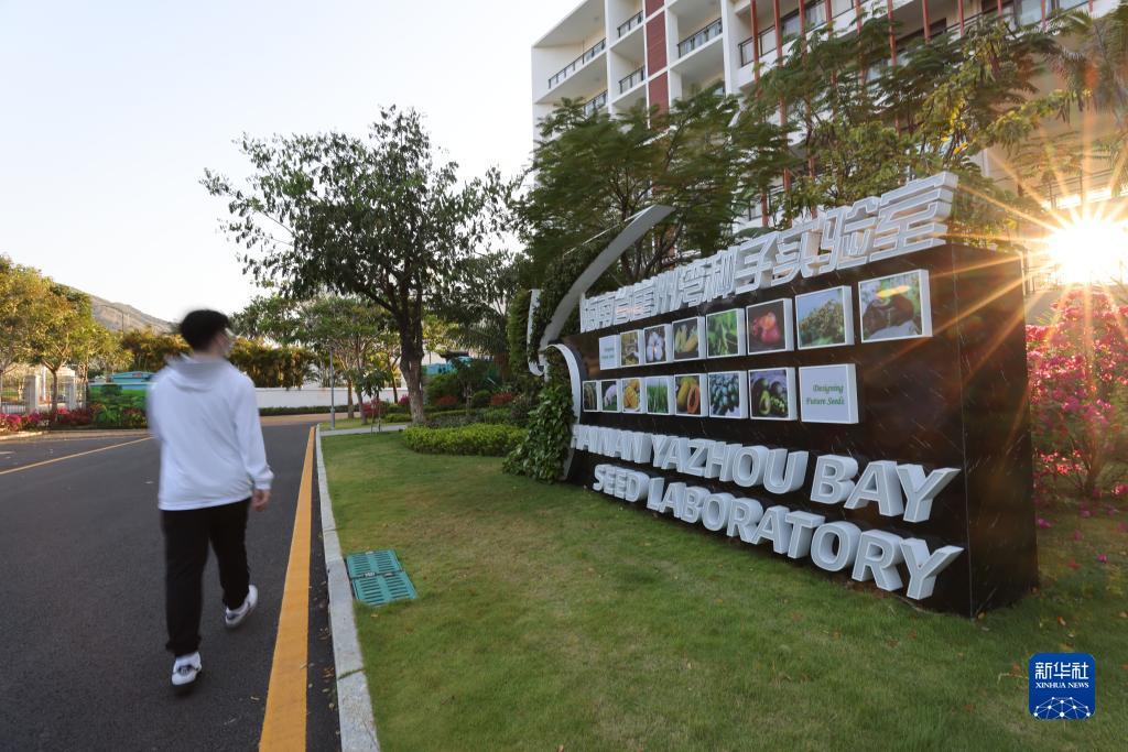 这是4月10日拍摄的海南省崖州湾种子实验室。新华社记者 张丽芸 摄