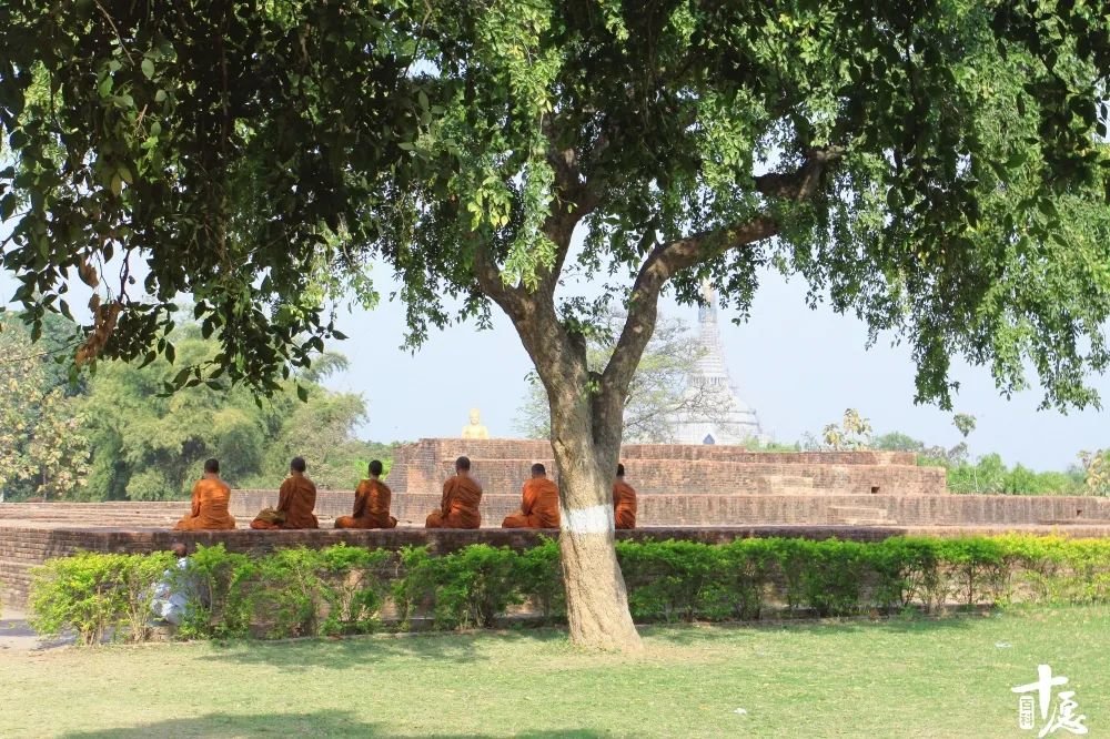 僧人住的地方为何叫“寺院”?佛教“道场”这些称谓必须get_凤凰网