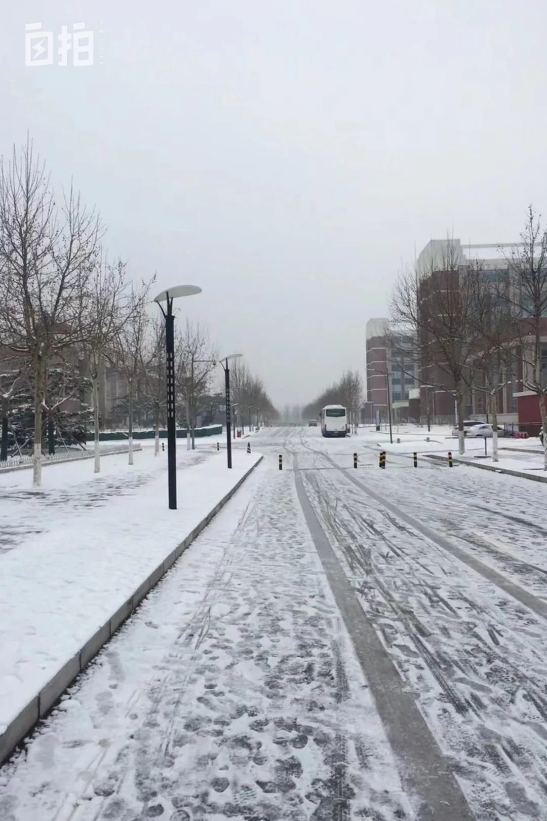 2018年大雪后的社科院研究生院校园。我喜欢人少的时候出来溜达。