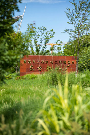 城市绿心森林公园内保存完好的东方化工厂大门/摄影 郑立文