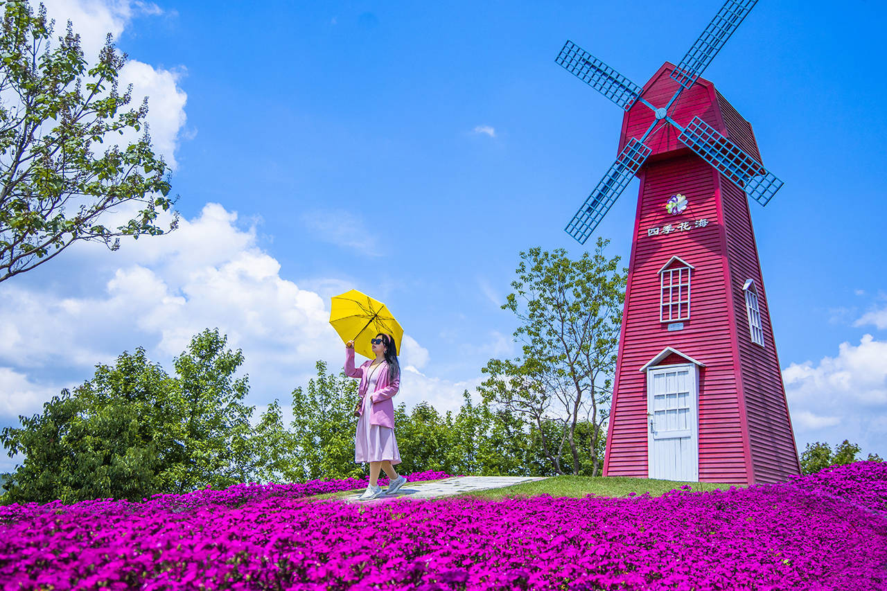 五一自驾湖北英山四季花海,赏百花,亲子游,穿汉服免费游玩 __凤凰网