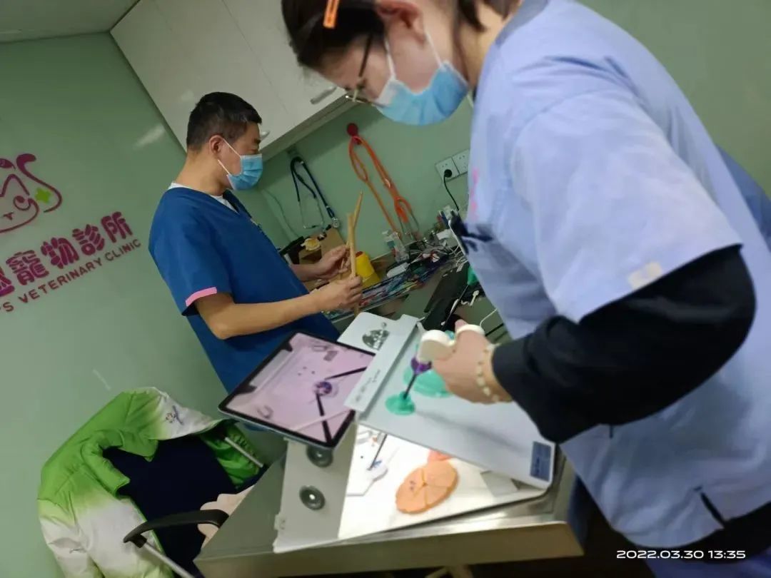 张昕和同事在工作 参考资料：澎湃新闻