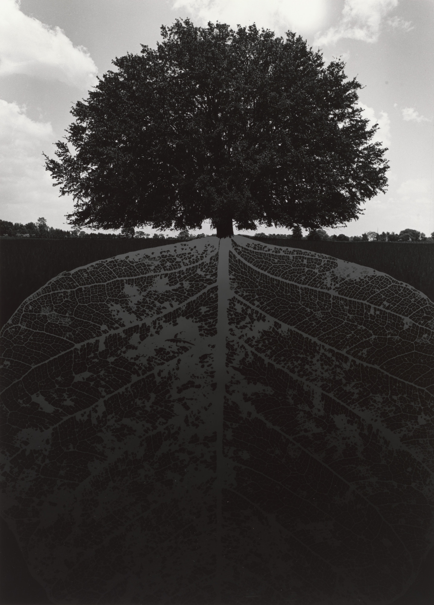 杰里·尤斯曼作品