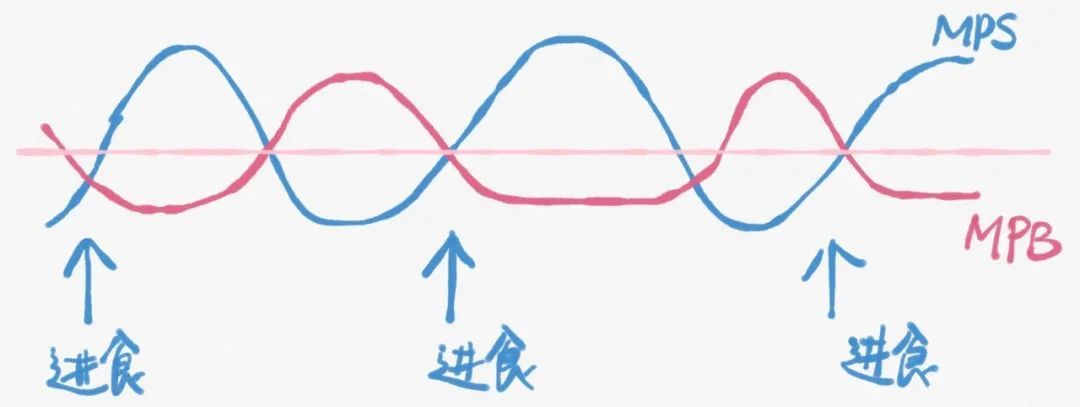 【科普营养】减重增肌秘笈——5个问题告诉你