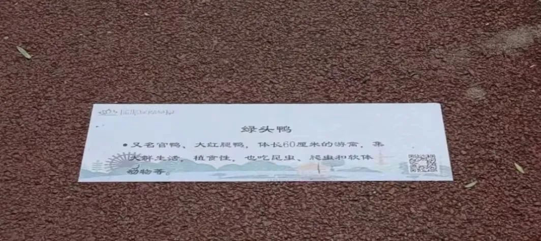 东城区龙潭西湖公园内的科普“斗方”。受访者供图