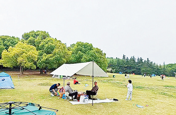 合肥植物园露营地