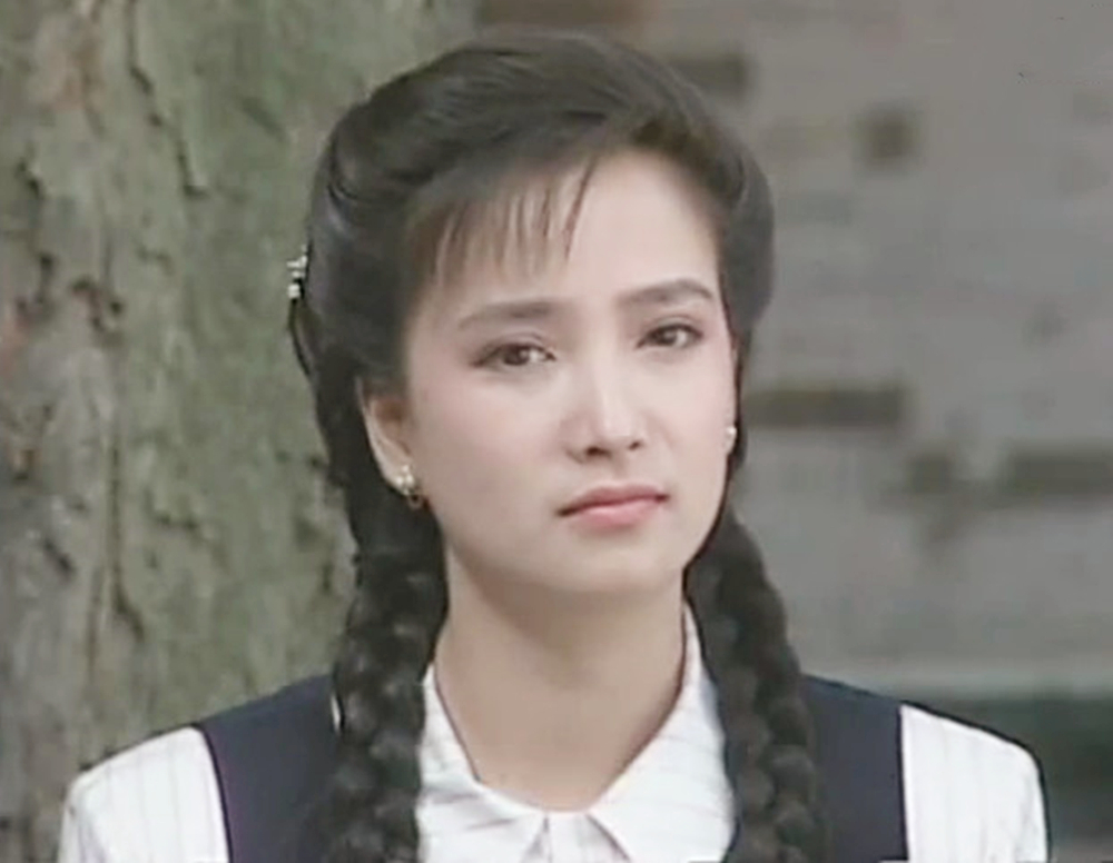 何晴 饰 华又琳