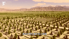 新疆：他们为英烈守墓，从青丝到白头