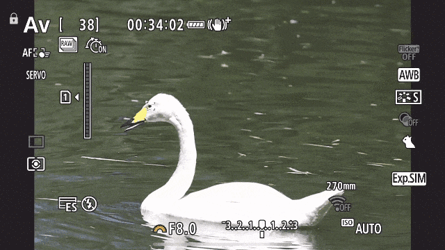 【有料评测】佳能EOS R7评测:全能的便携微单相机