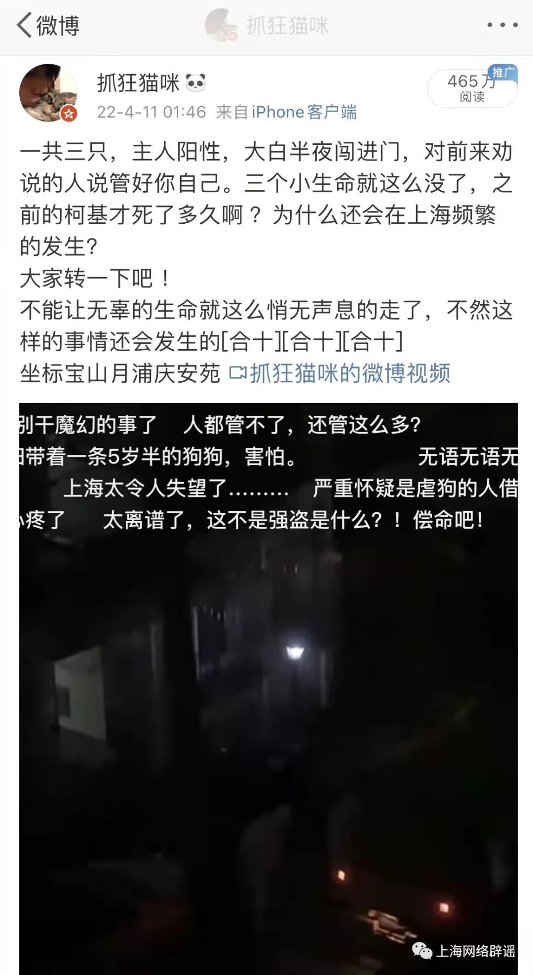 微博原文